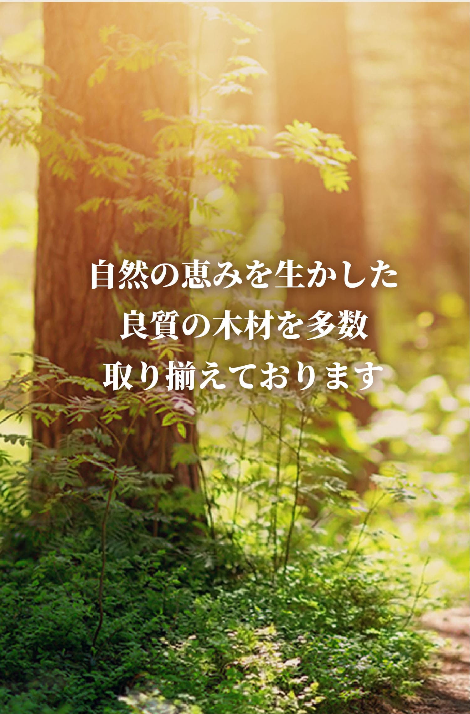 メインビジュアル3
